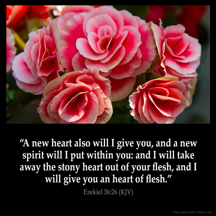 DulleyTopBooks's tweet photo. #PrayerForLove 
#PrayerForHope 
#PrayerForLife 

God's heart be our heart forever going forward... https://t.co/cONde1JpGt