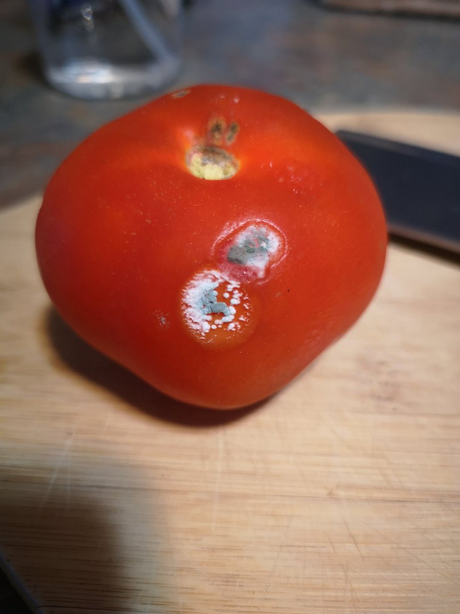 I wish my mutant can grow as well as these ones 🤣