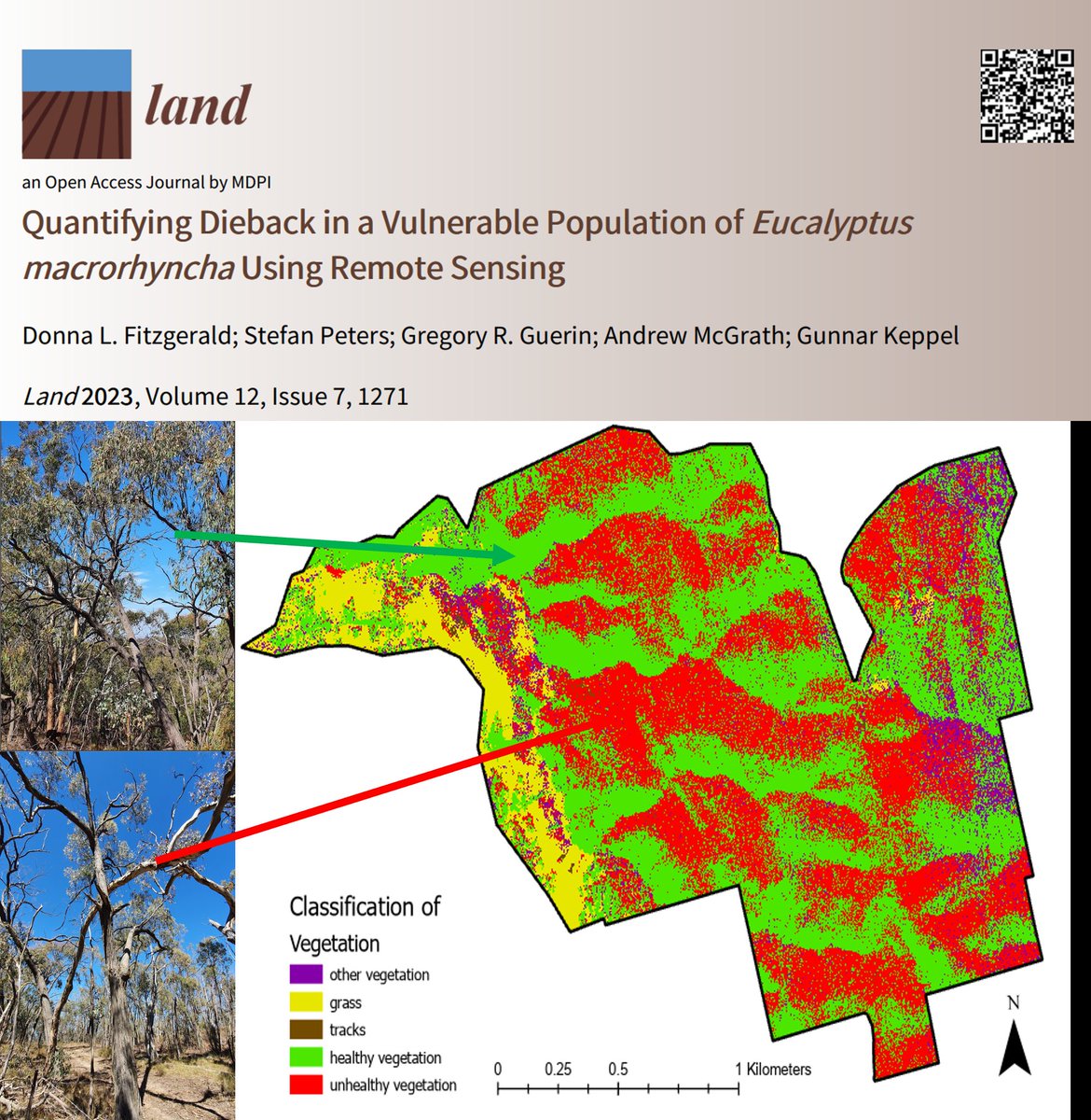 Donna Fitzgerald (@donnafitz23) on Twitter photo Delighted to have my paper published with wonderful support from co-authors <a href="/GunnarKeppel/">Gunnar Keppel</a> #StefanPeters #GregGuerin #AndrewMcGrath with generous support from <a href="/UniversitySA/">UniSA</a> <a href="/PlayfordTrust/">Playford Trust</a> #naturefoundation #airborneresearchaustralia Delighted to have my paper published with wonderful support from co-authors <a href="/GunnarKeppel/">Gunnar Keppel</a> #StefanPeters #GregGuerin #AndrewMcGrath with generous support from <a href="/UniversitySA/">UniSA</a> <a href="/PlayfordTrust/">Playford Trust</a> #naturefoundation #airborneresearchaustralia