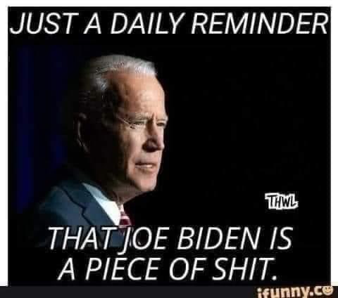 We, the very sane people in this country, did not vote for this piece of garbage. He is a criminal and has always been a criminal. He’s the big guy. The Godfather of the Biden Crime family. He did not win the election. Anyone with half a brain knows this. 

I’m angry. I’m