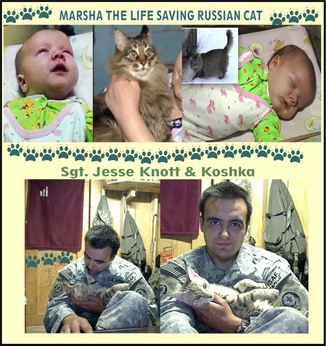 we the people (#wtpBLUE) tweet media