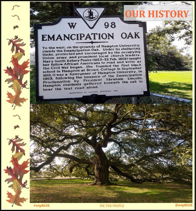 we the people (#wtpBLUE) tweet media