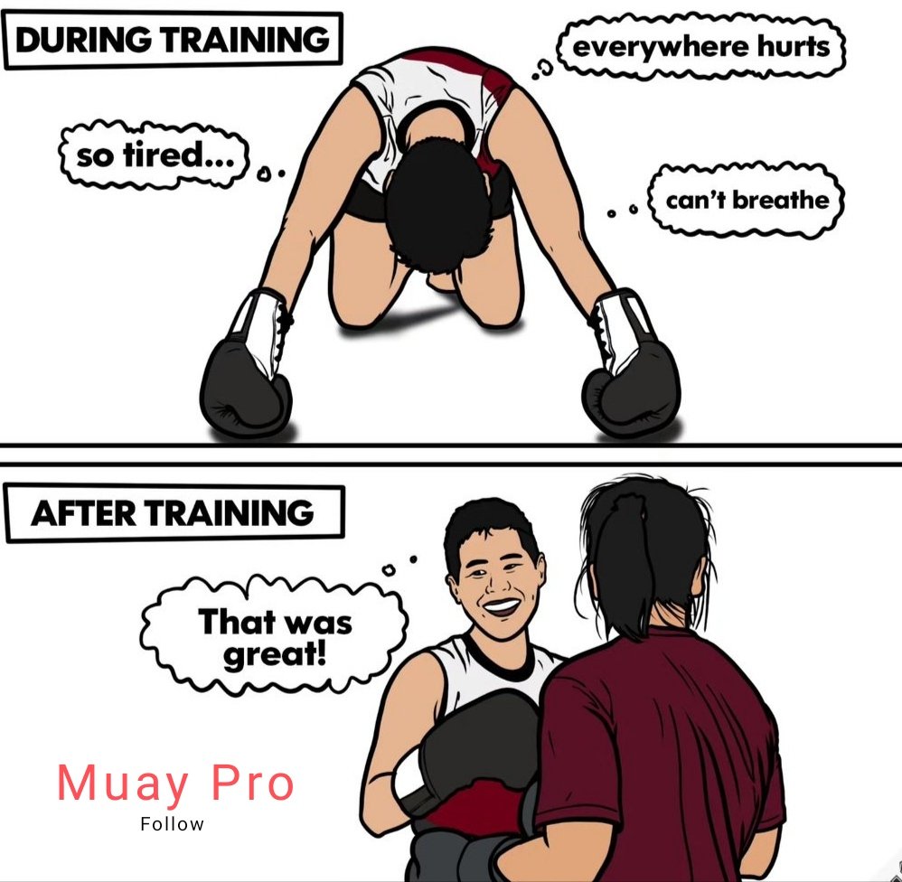 Muaypro's tweet photo. 🤔🤔🤔

#muaythai #muaythaitrsining #muaythaifighter #thaiboxing https://t.co/k0Igr44vX2