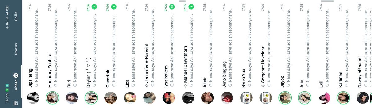 Seana tweet media