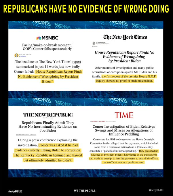 we the people (#wtpBLUE) tweet media