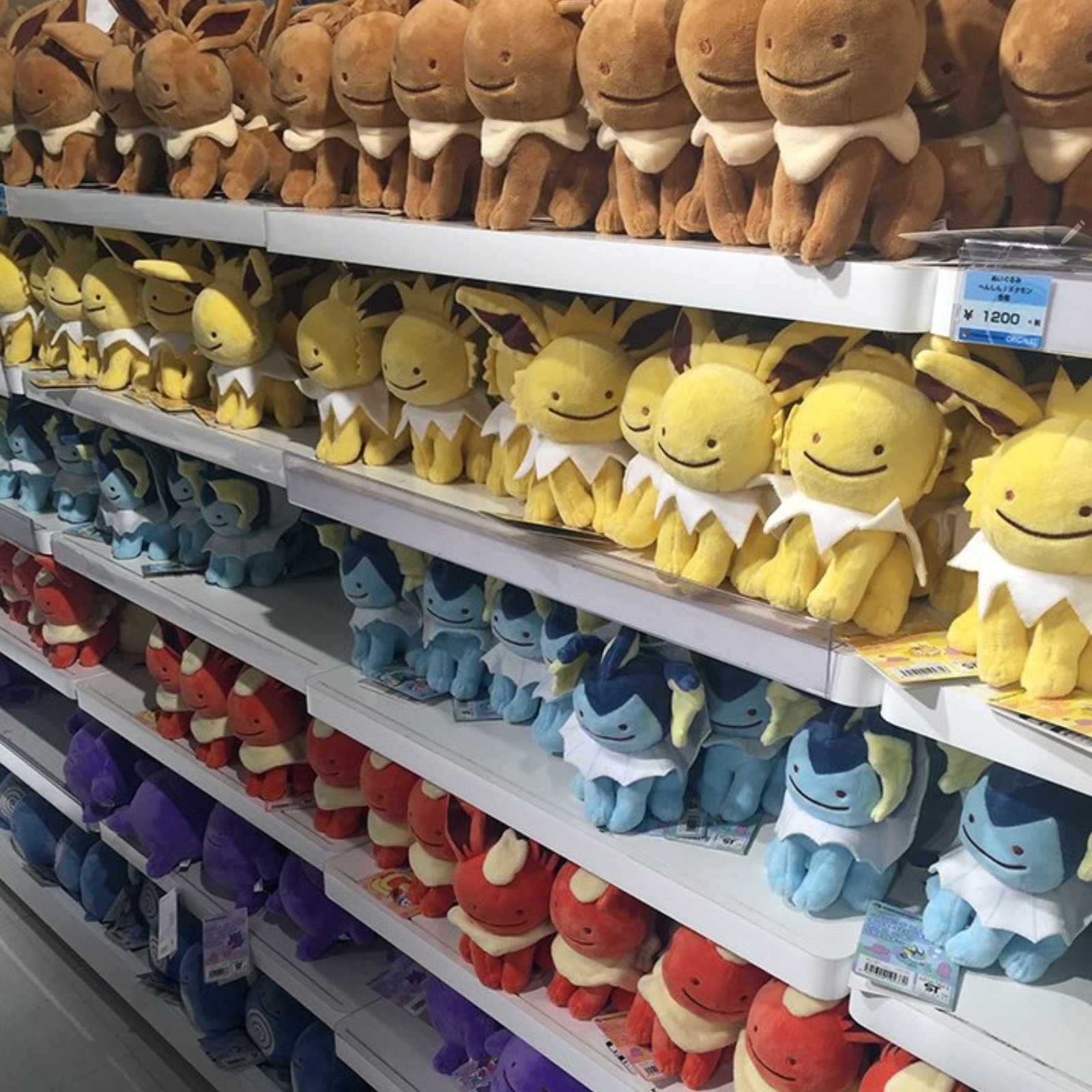 рџњџeeveeрџњџ On Twitter They Are So Happy Https T Co S6ib39wzjs