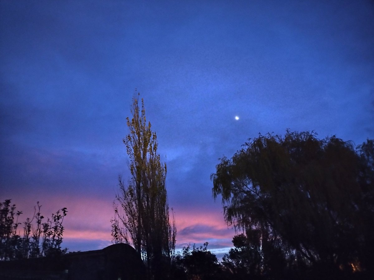 Algo más lindo que los atardeceres?❤️‍🩹