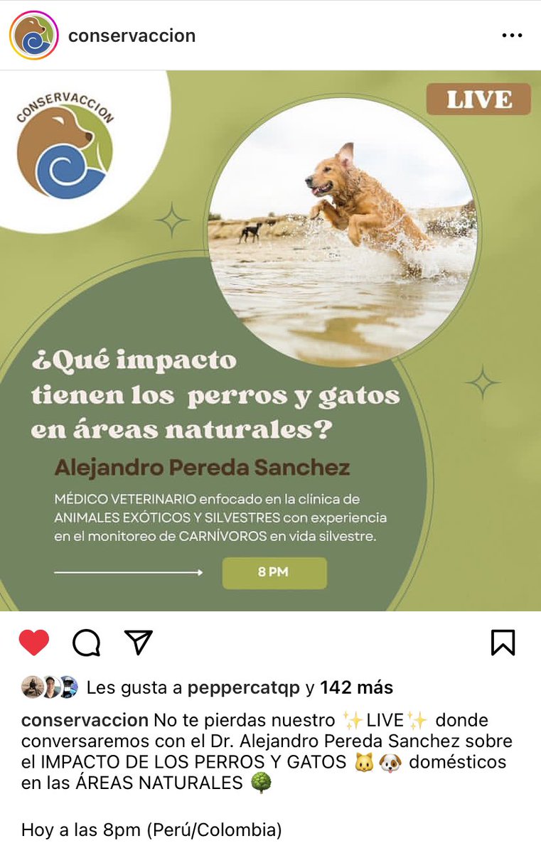 Hola!
Hoy a la 8pm tendremos un live con el médico veterinario Alejandro Pereda, ayúdennos a compartir este post 🙏 y dense una vuelta

instagram.com/p/CtzSNiDATK3/…