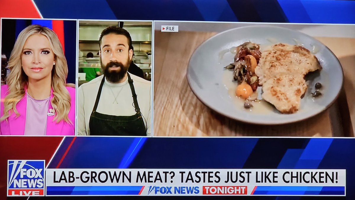 @ChefGruel schools  America about the shortfalls of #fakemeat ... and there are many.