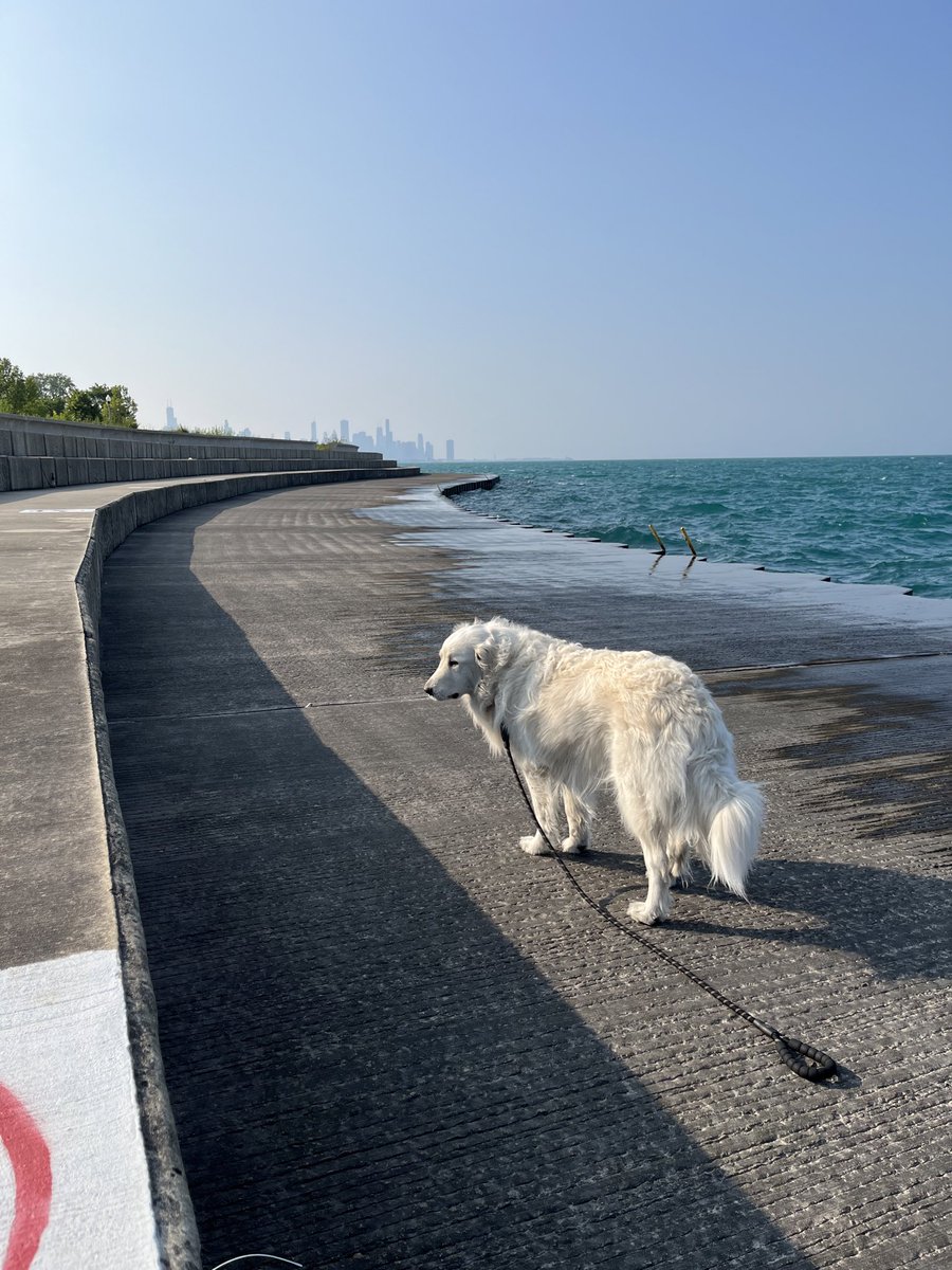 Michael Glotzer tweet media