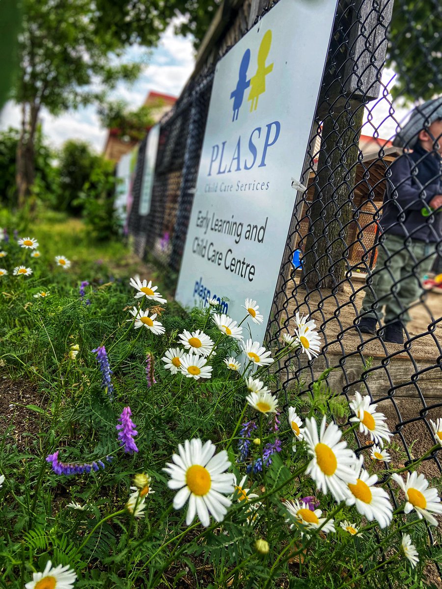 MsJiJionline's tweet photo. After entering the #EarlyLearning #ChildCare Centre world, I’m happy to share that I’m starting a new position as an acting assistant director in one of #PLASP’s #ELCCC
Being at Father MG has been a great learning opportunity. Thank you from the bottom of my blue and yellow heart https://t.co/DSNmU0hUKx