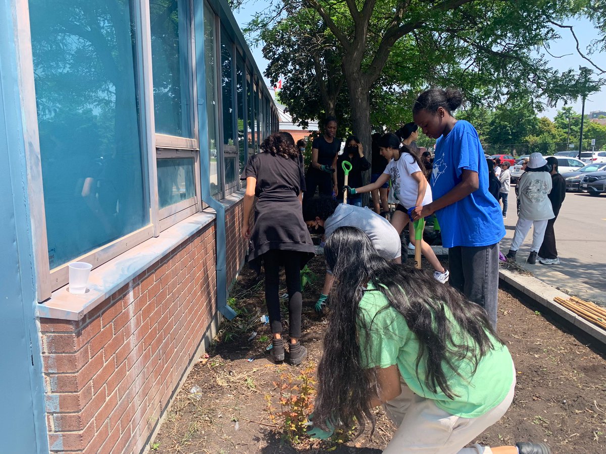 MmeHoorpah's tweet photo. The Green Team and 808 planting sunflower seeds and putting the community garden together, with the help of @sheridancollege. @FletchersSrPS @dan_ippolito @s___malik https://t.co/9X3MikOAaE