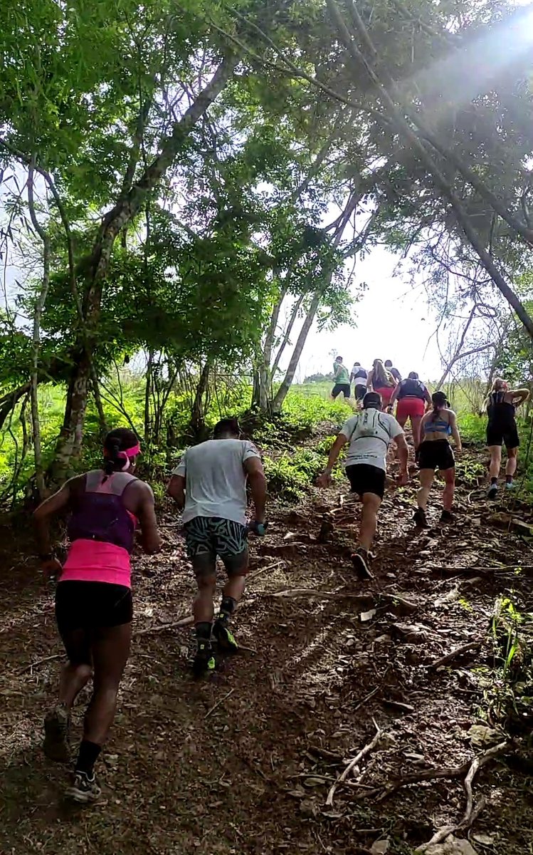 La manada #daleparriba