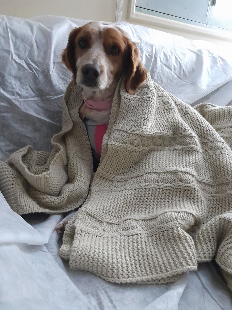 Ojalá todos en esta casa podamos descansar esta noche como ella