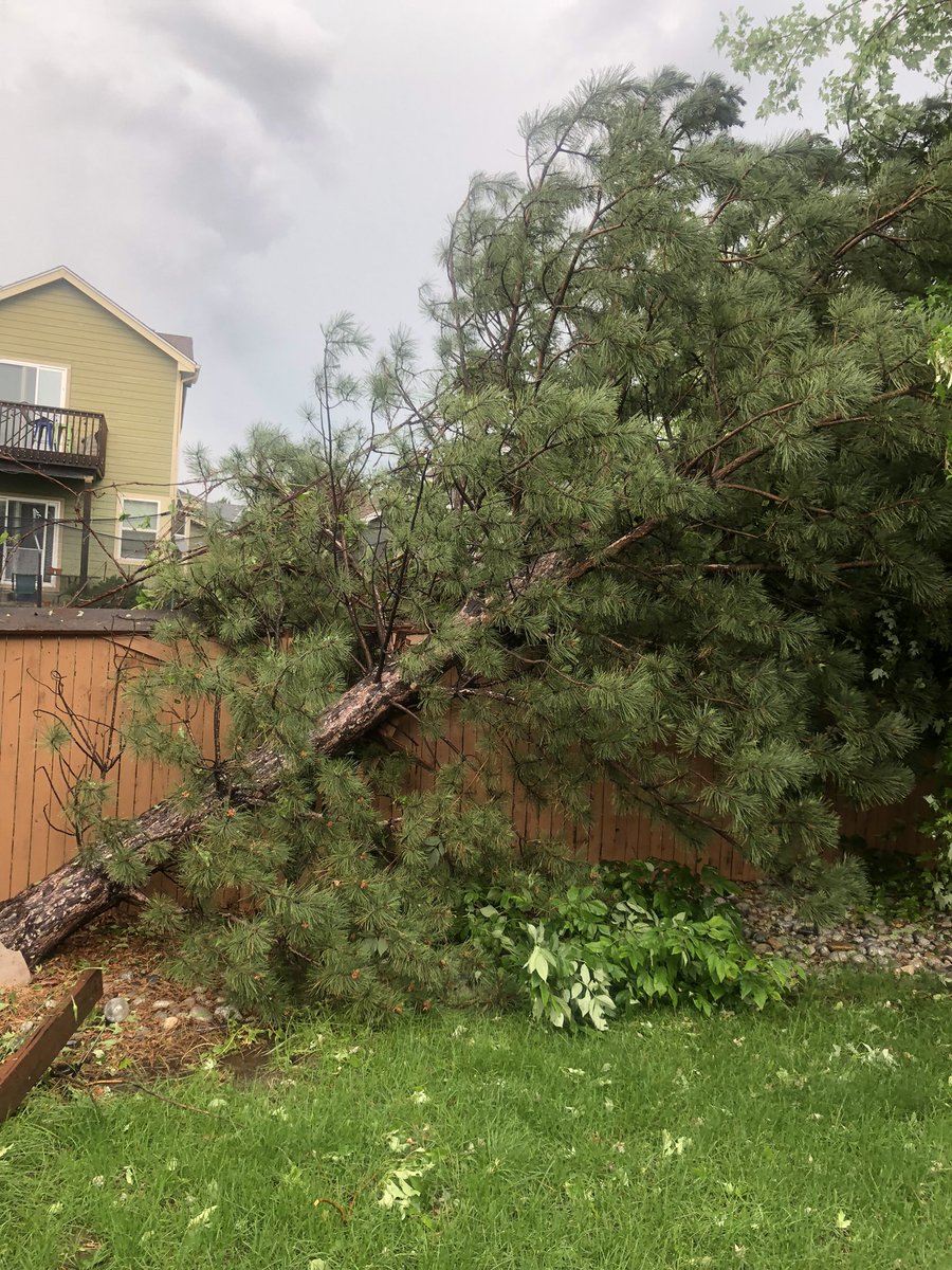 This happened in my neighborhood today.  #highlandsranch #Tornado