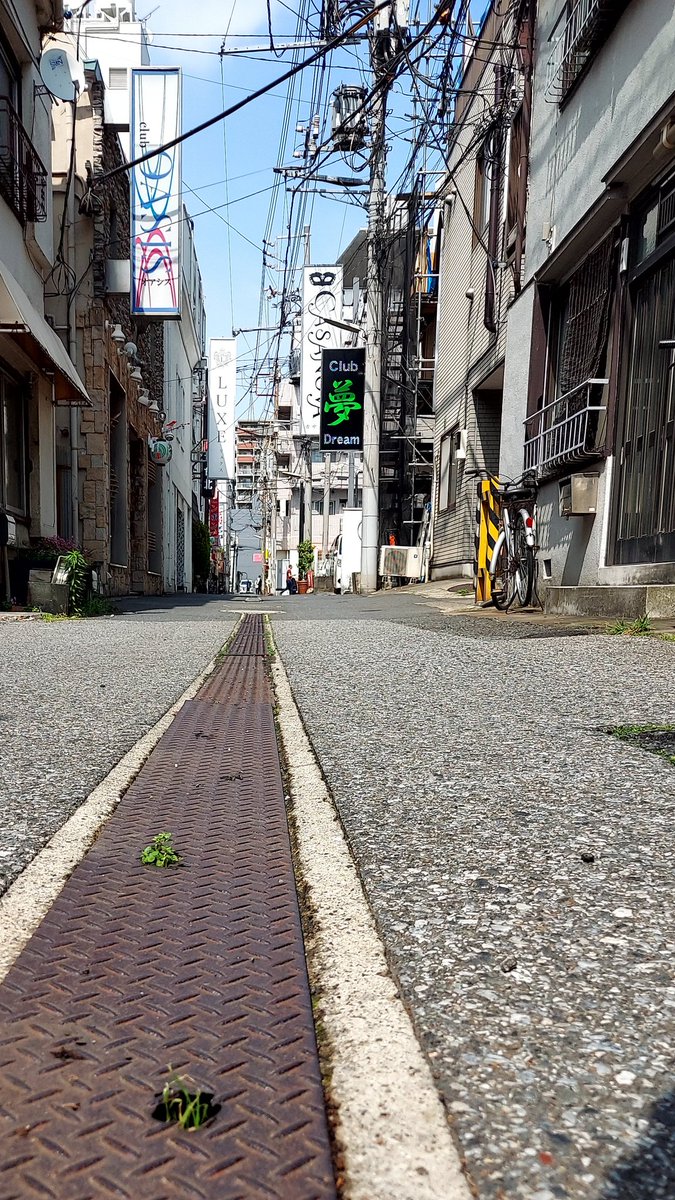 shigehiroaoki18's tweet photo. 吉原西河岸溝跡

#吉原を写真で表現する
#吉原遊郭
#浅草吉原
#浅草千束 https://t.co/FDWvc2AxFz