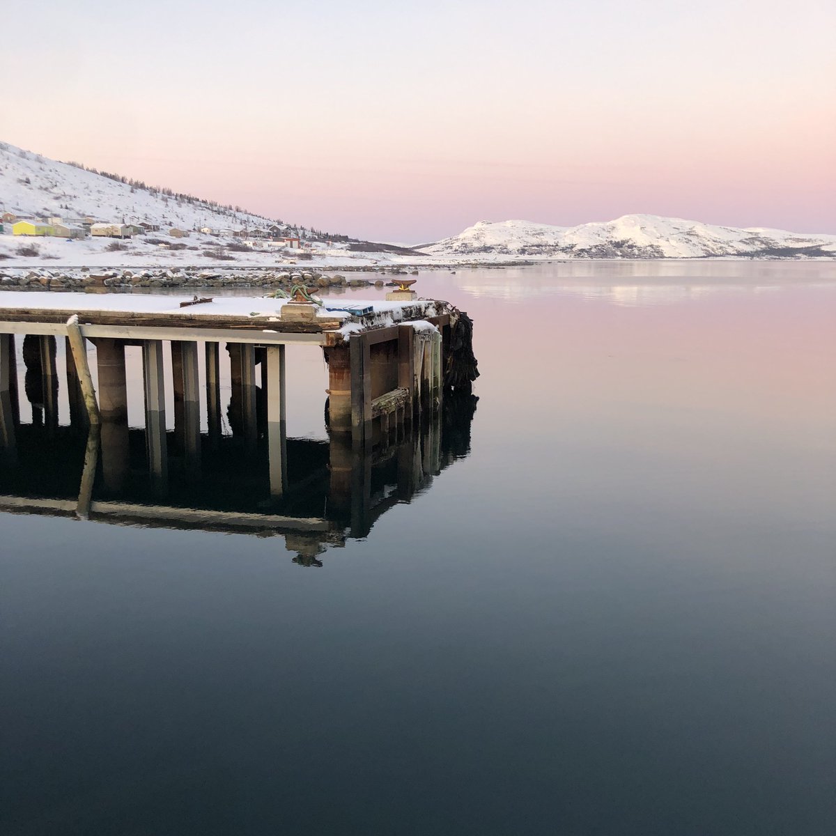 Carla Safrany tweet media