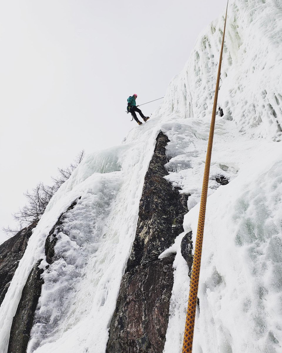 Carla Safrany tweet media