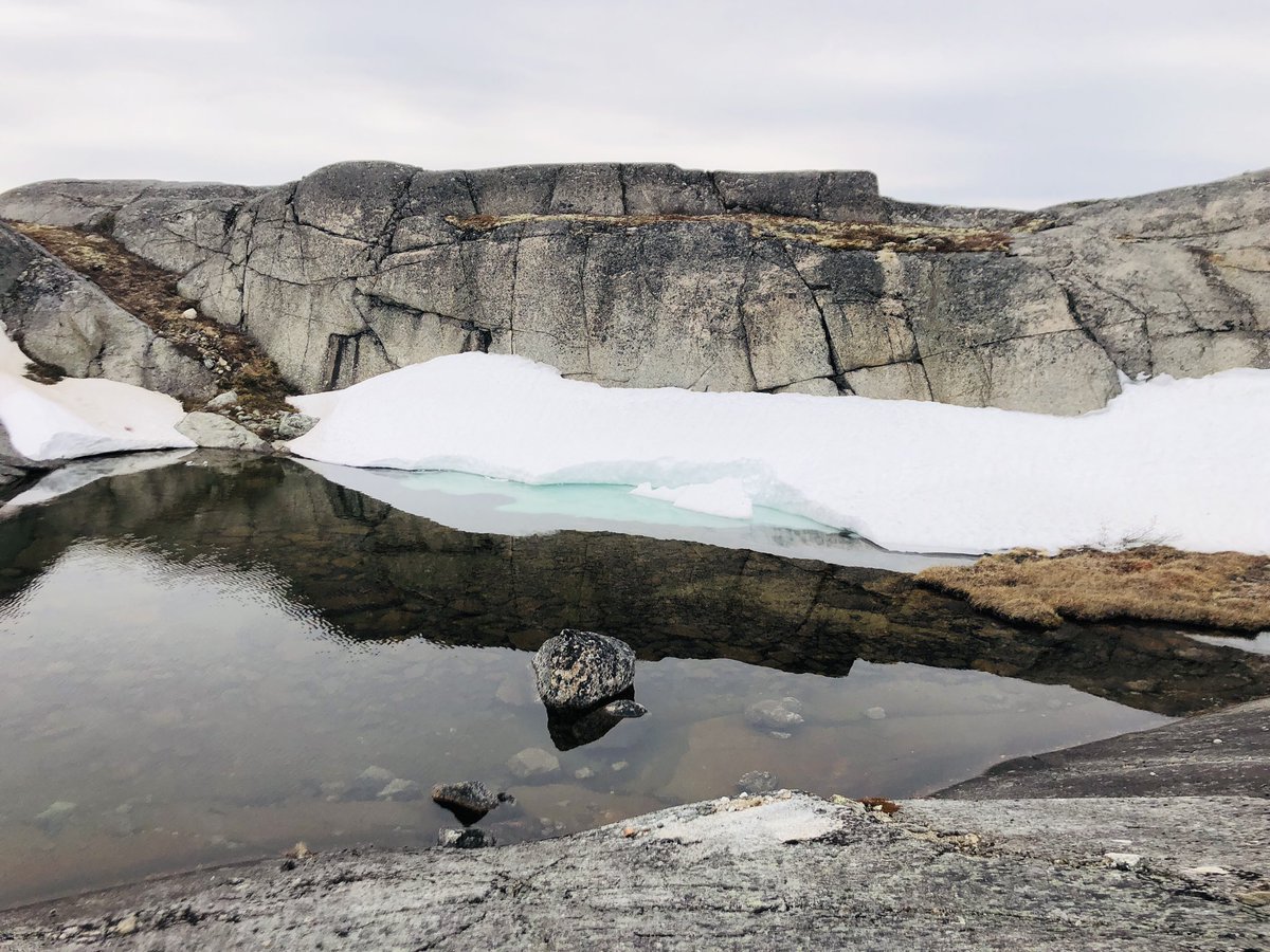 Carla Safrany tweet media