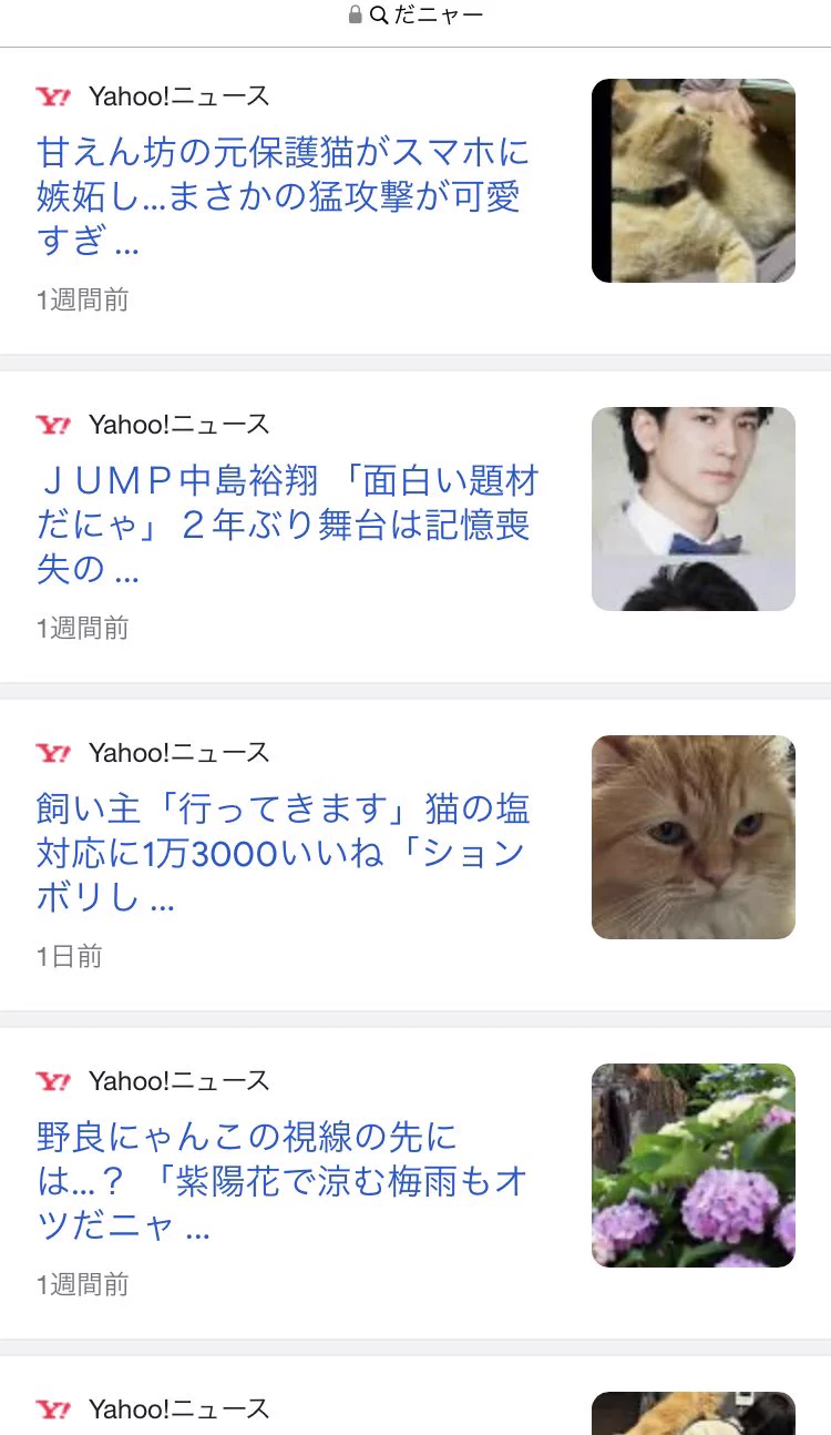 @63cities @5hed そうだニャー🐈 