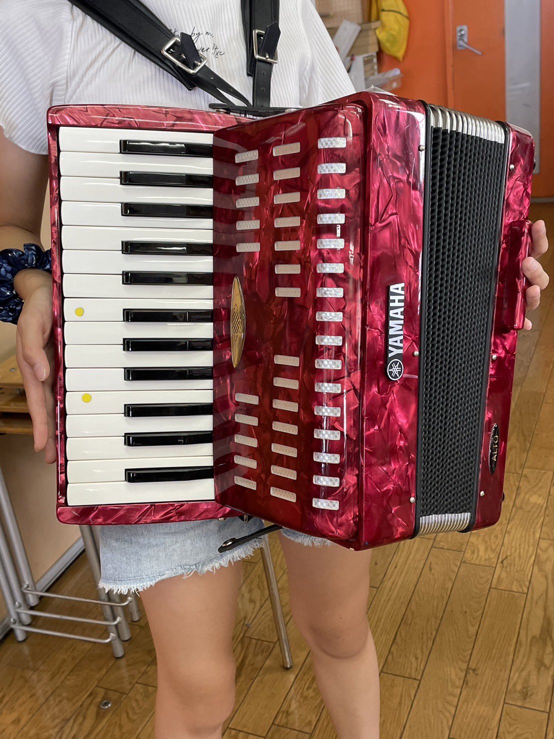 ディズニープリンセスのベビーグッズも大集合 YAMAHA アコーディオン 25 SOPRANO 鍵盤楽器