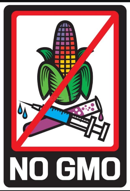 The dangers of the impact of GMOs on the environment are undebatable. Genetically modified crops are tied to chemicals sprayed on them which are highly lethal for both environment, birds and animals...
#NO_GMO
#Organic
#Farmersprotest