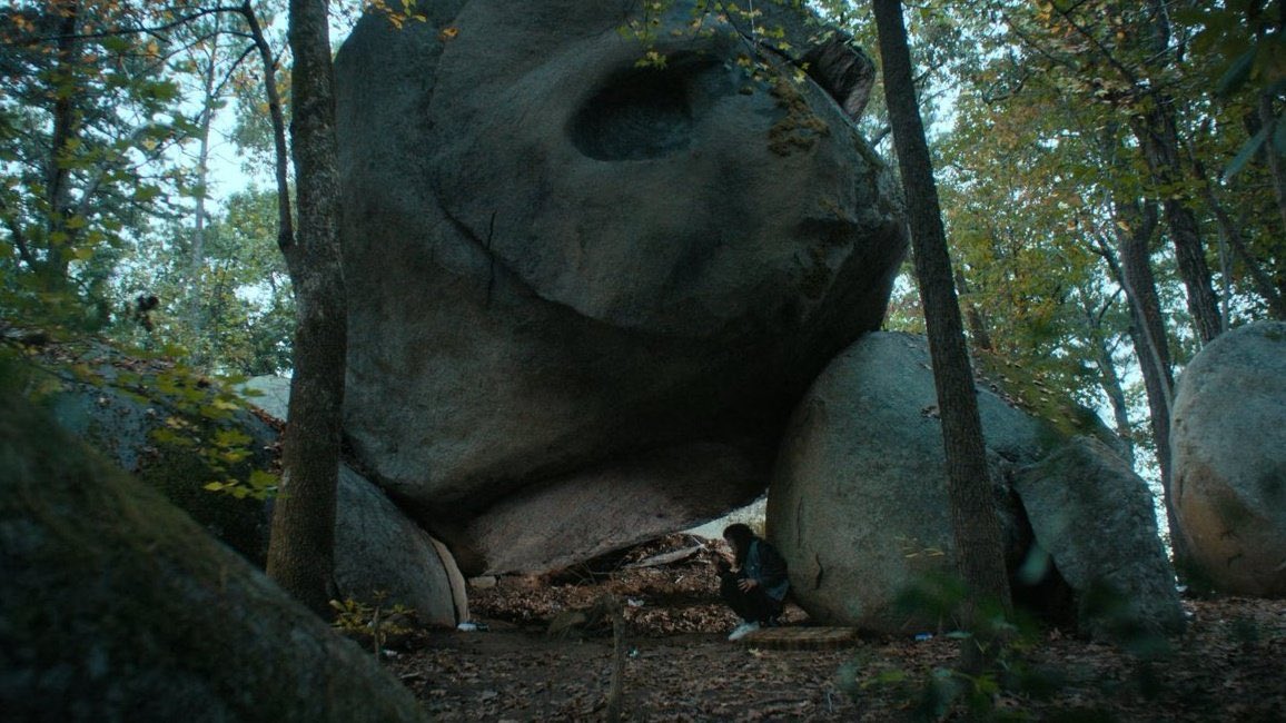 lift up this  rock and found  a weird critter..