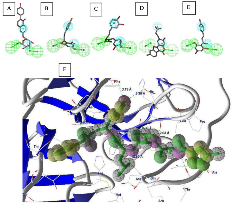 Molecules_MDPI's tweet photo. 📌#COVID19 #mainprotease #receptorbasedpharmacophore #moleculardocking #naturalcompounds
New Publication “Receptor-Based Pharmacophore Modeling in the Search for Natural Products for COVID-19 Mpro”
By: Mohd Saeed, et al. 
👉https://t.co/qTj6tkM8iZ 
#mdpimolecules #NewPublication https://t.co/OUBbTf9T1y