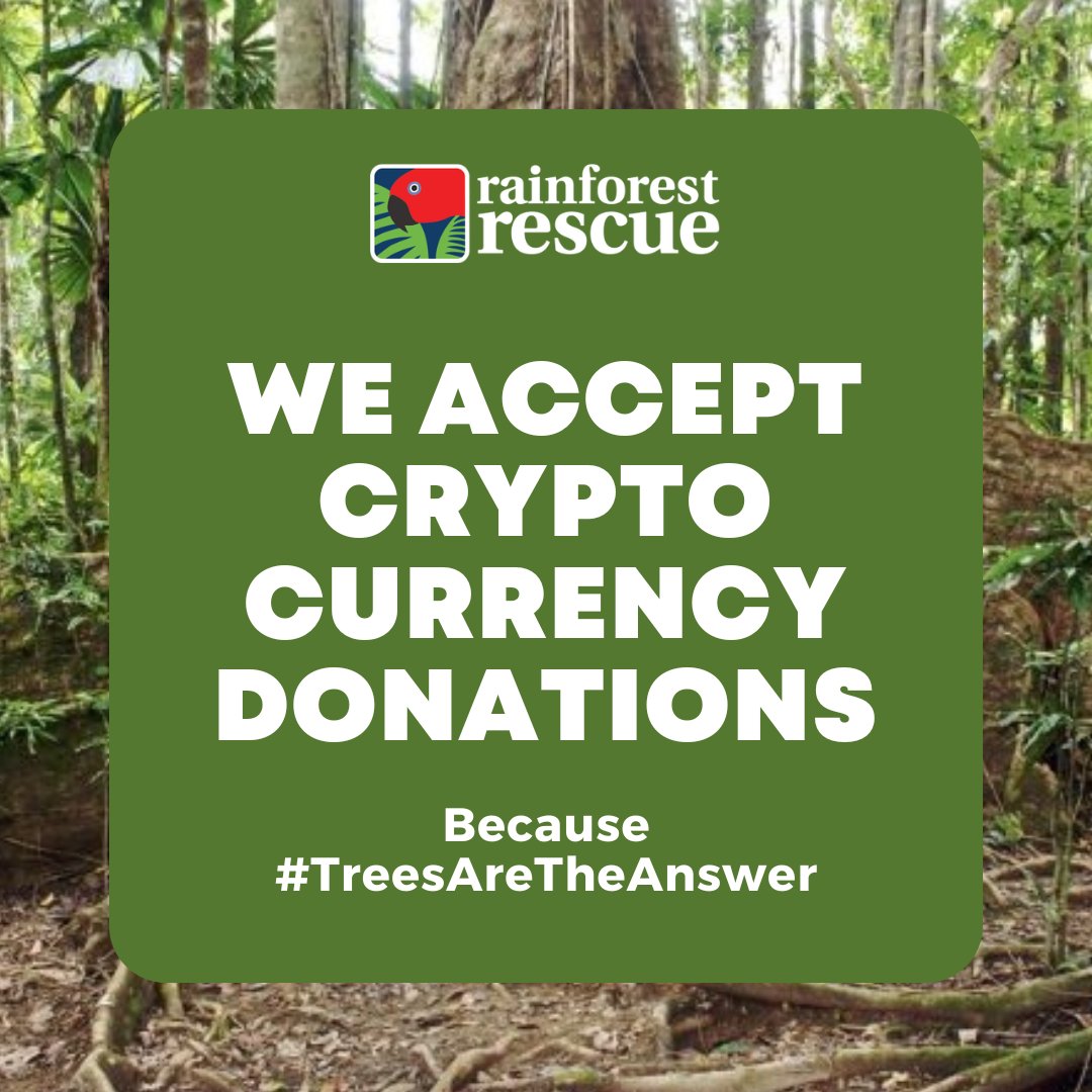 RFR_AU's tweet photo. Your crypto donations can help fund our Plant a Rainforest and Protect a Rainforest projects which are focused on planting trees and purchasing and protecting rainforest.

Read more online and donate today: https://t.co/B1ufamEC80 💚. 

#CryptoDonation #ProtectRainforest https://t.co/jB7dGgwZGN