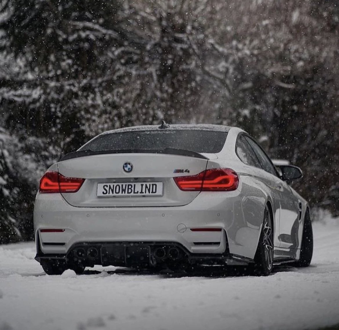 BMW F82 M4 ❄️