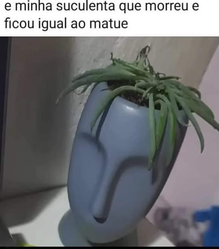 shitpostverdade's tweet photo. https://t.co/Xfbcp8j6ep