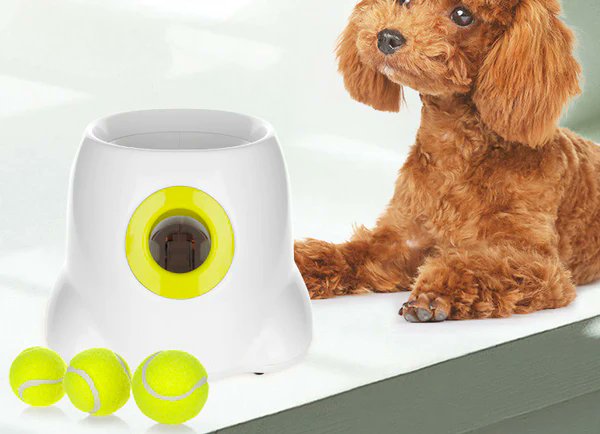 PawfectHarness's tweet photo. Canine PitchPro - Elevate your pup's playtime with our revolutionary Canine PitchPro Automatic Ball Launcher!

Wave goodbye to manual throws and say hello to effortless fetch sessions that will keep your furry friend entertained for hours!

👉 https://t.co/E9M9kFyCwI

#petlovers https://t.co/eJSRQHAdei