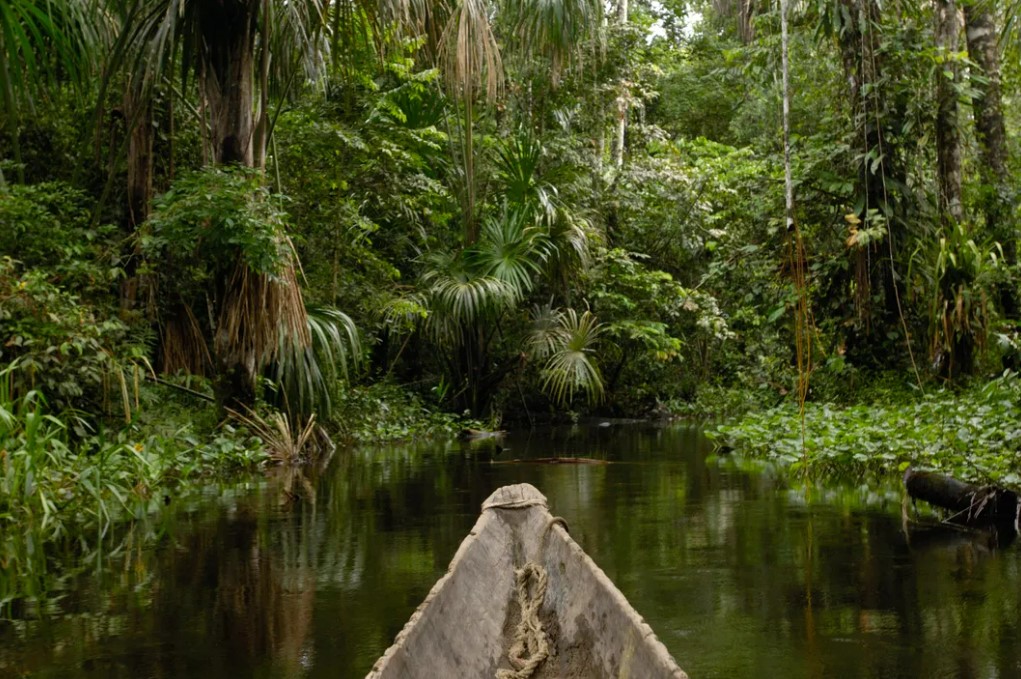 groninty's tweet photo. ¡La 4 de #50Razones para decirle #SiALaVida!

La verdadera riqueza del Yasuní está sobre la tierra, no debajo de ella. 

Mientras que la inversión en el sector Petrolero a nivel global se redujo en 20% en tan solo 4 años, el mercado de servicios ambientales y la bio economía sigue creciendo. Para la región, se estima en US$ 15,4 billones por año. 

El verdadero potencial del país es la bioeconomía. Con espacios como el Yasuní, que es una de las áreas con la más alta biodiversidad por kilómetro cuadrado del planeta. Su ecosistema alberga 99,73% de vegetación natural única en el mundo.

Así que dile #SiAlaVida #SiAlYasuni y #QuitoSinMineria   

¡Comparte para que el dato mate al relato!  

Referencia de la información: 

https://t.co/mgKcJpIEHg

https://t.co/nftL79Qe5J

Imagen: © Pete Oxford/Minden Pictures/Corbis