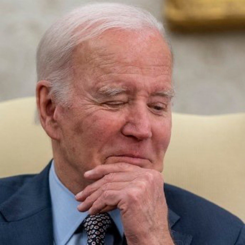 Miranda Devine tweet media