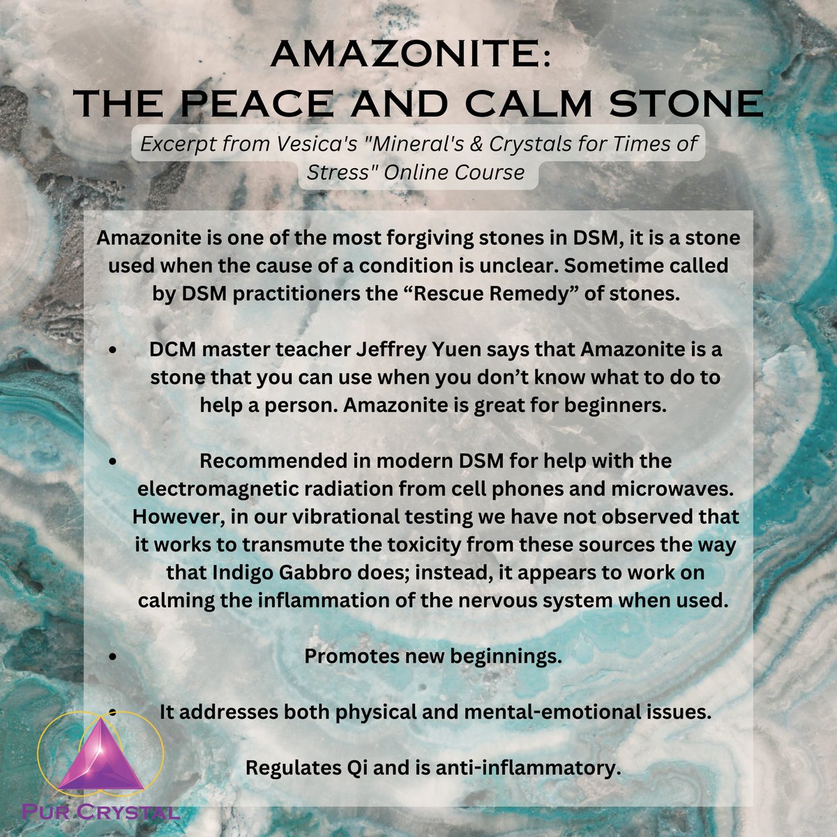 The Vesica Institute tweet media
