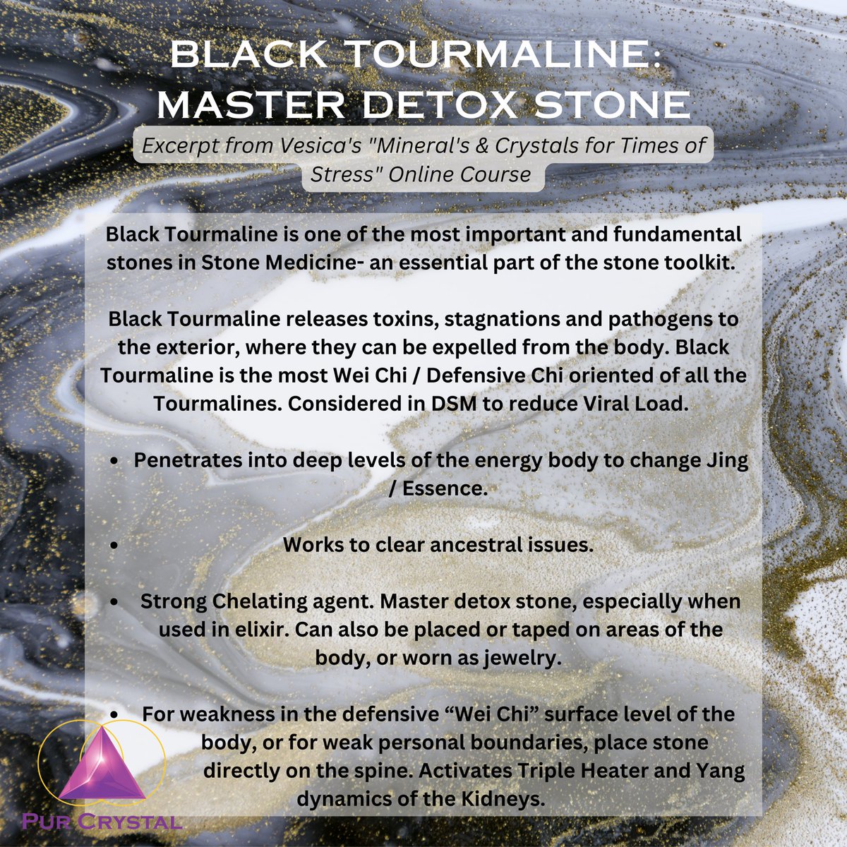 The Vesica Institute tweet media
