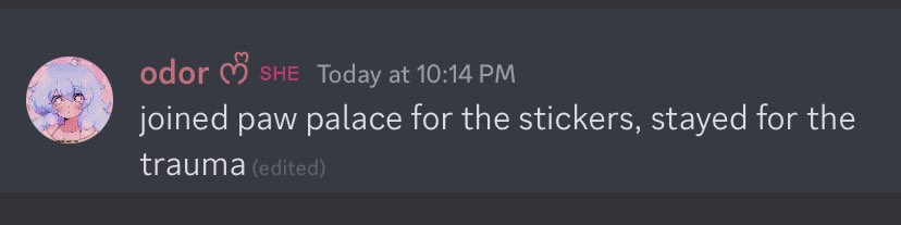 🌸 Paw Palace tweet media