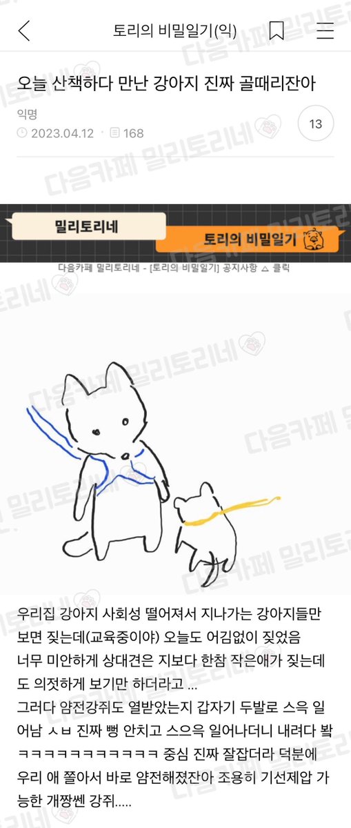 milytoryfan's tweet photo. 오늘 산책하다 만난 강아지 진짜 골때림 https://t.co/xbw7XvOeBE
