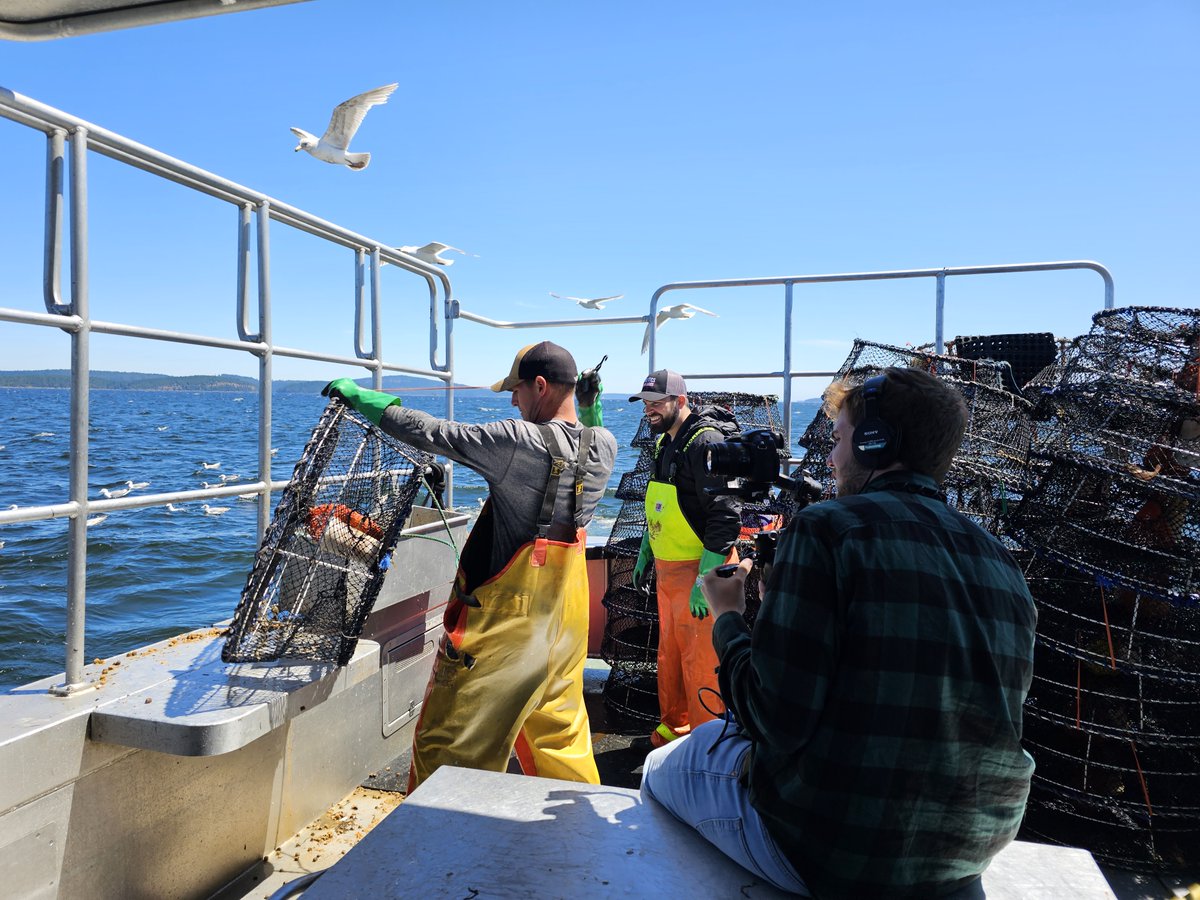 Aaron Gunn tweet media