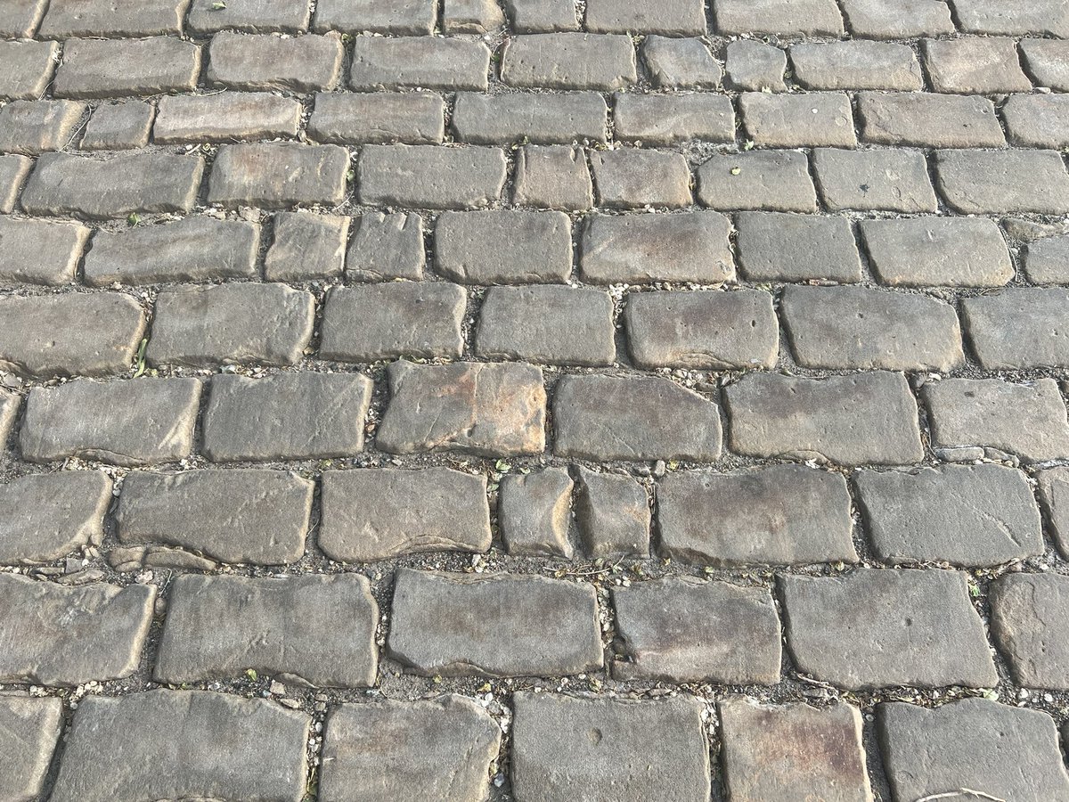 2nd Ave South is right behind Andersen Library at the U and right above Bohemian Flats. For some reason this street has a patch of very old cobblestone. Does anyone know why this cobblestone was preserved? Is it historically significant for some reason?