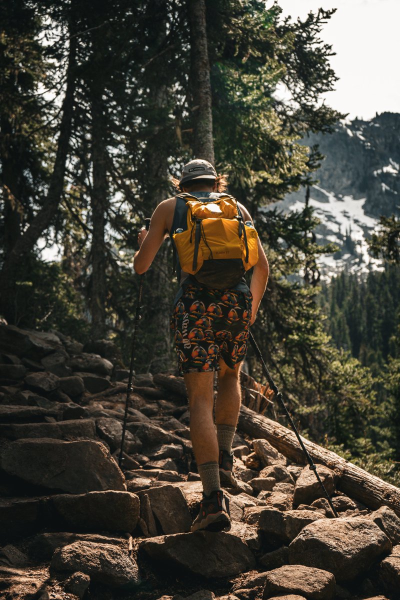 Hiking in Harmony tweet media