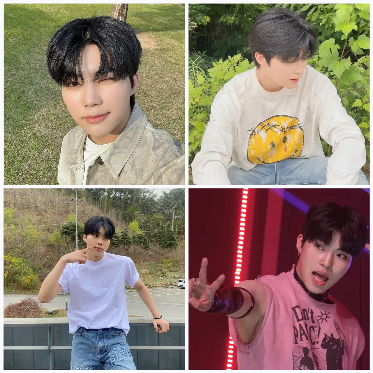 momo tweet media