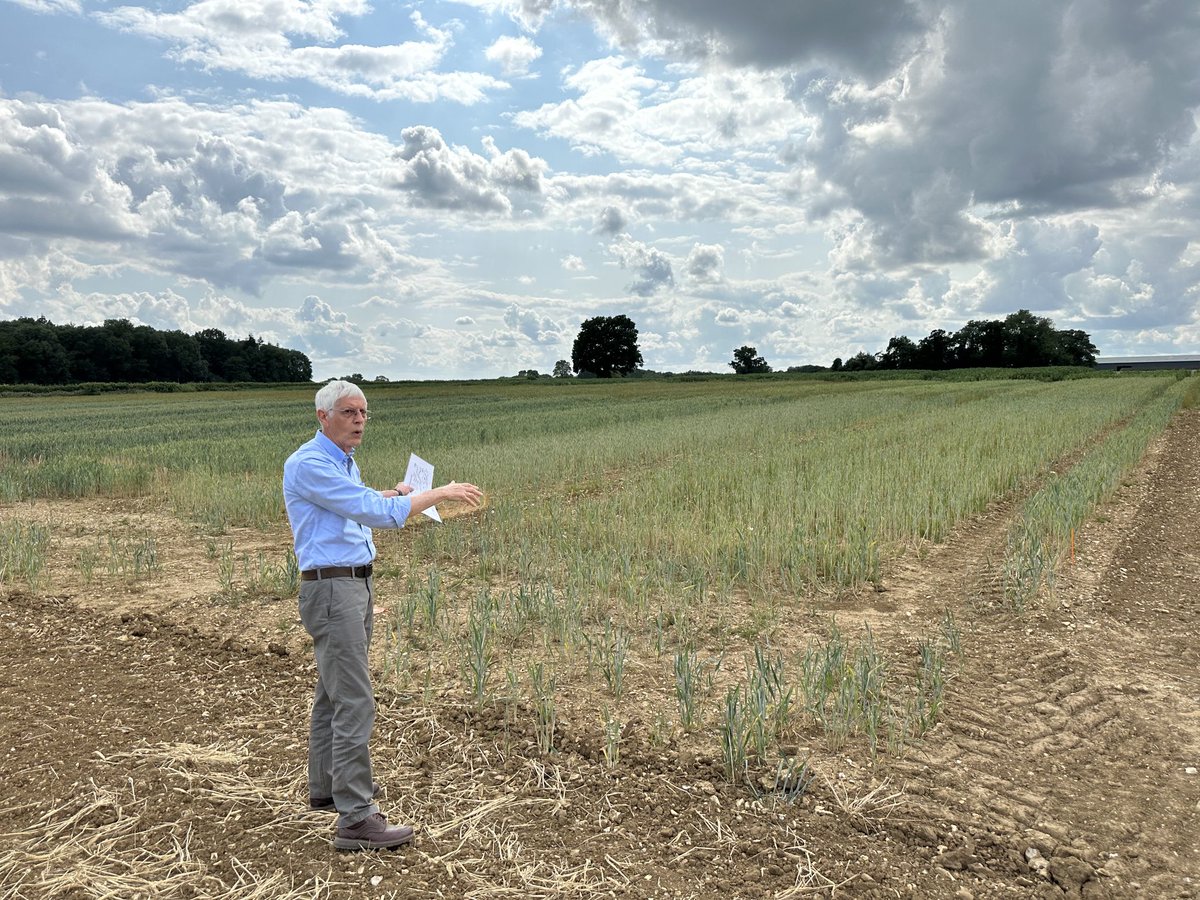 John Kirkegaard tweet media