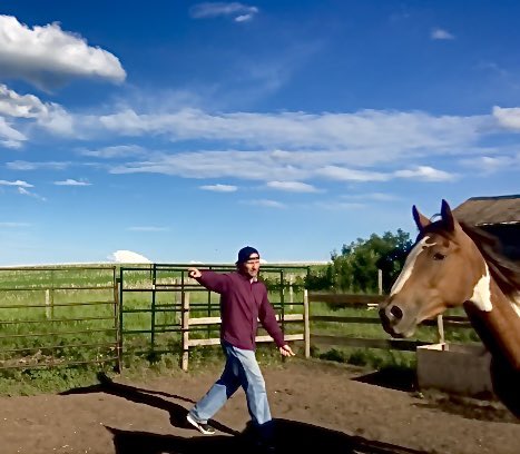 This is how I’ll be spending my summer. #horsetraining #saskag #AgTwitter #skpoli #ranchlife