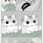 可愛すぎる!手をグーパーする猫のお話を描いた、とっても可愛い「猫漫画」が話題に!