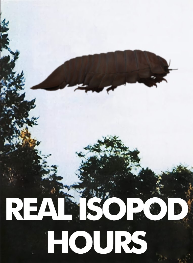 IsopodBot's tweet image. It's real isopod hours