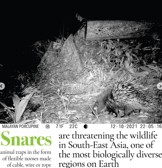 Toastiewiththe's tweet photo. #AngelinaJolie Latest IG post - #ZeroSnaringCampaign
#Cambodia
#StopTheSnares photos from her MJP Cameras in Cambodia https://t.co/50u6LWi7Re
