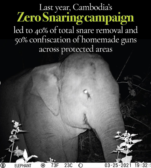 Toastiewiththe's tweet photo. #AngelinaJolie Latest IG post - #ZeroSnaringCampaign
#Cambodia
#StopTheSnares photos from her MJP Cameras in Cambodia https://t.co/50u6LWi7Re