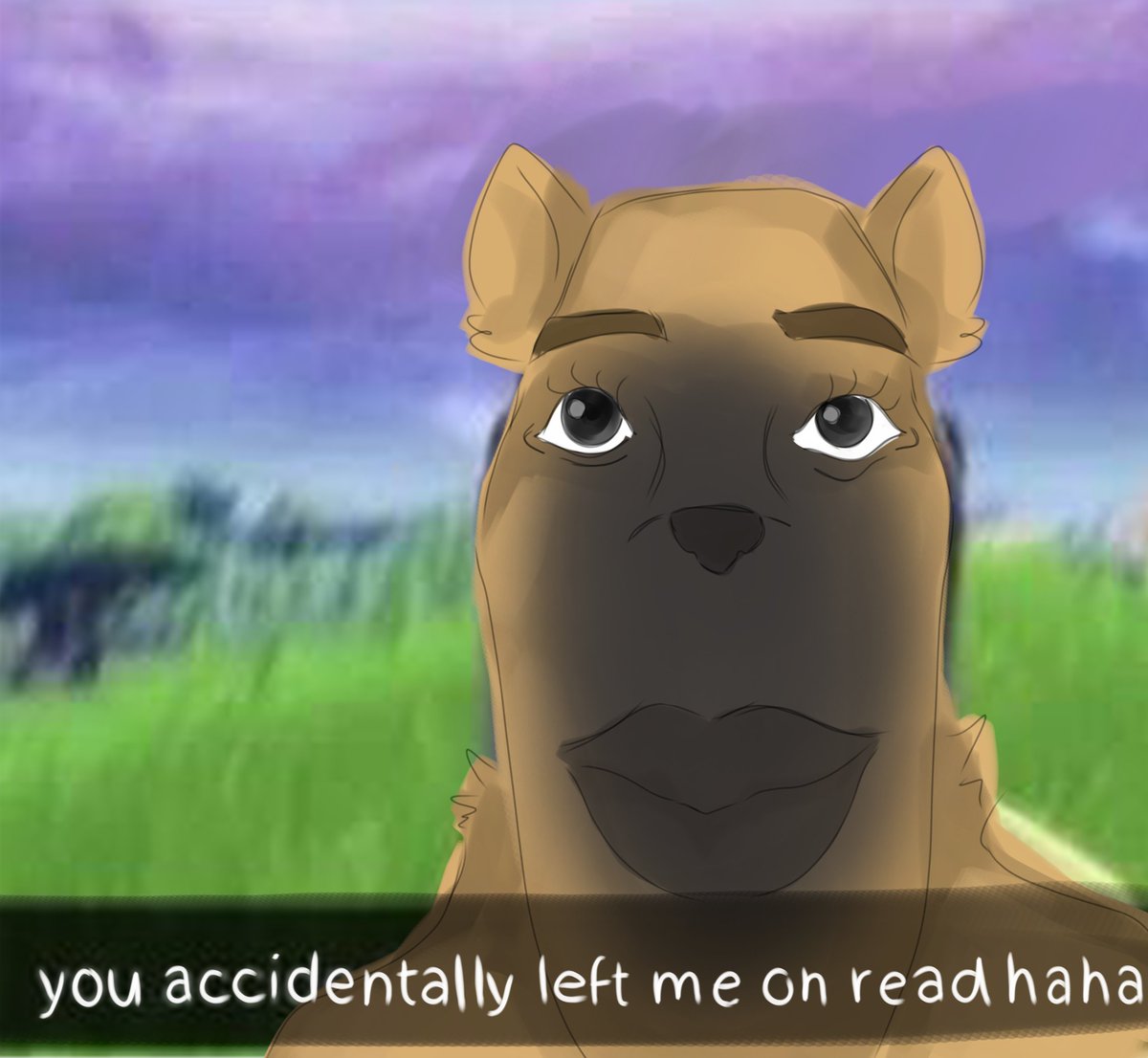 Shinoru tweet media