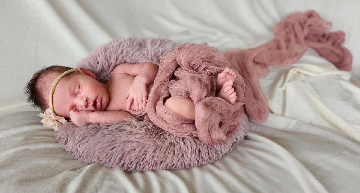 FlowersJayden's tweet photo. Nova Claire//Month 1🤍 https://t.co/ybG9Rtbrq6